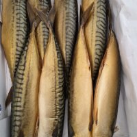 Kaltgeräucherte Makrelen ohne Kopf; ausgenommen